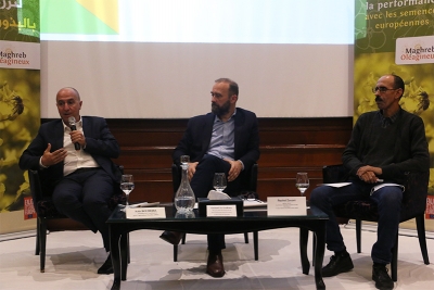 "لنزرع التميز بفضل البذور الأوروبية" زراعة الكولزا في تونس...الحل الأمثل لربح رهانات استدامة القطاع الفلاحي